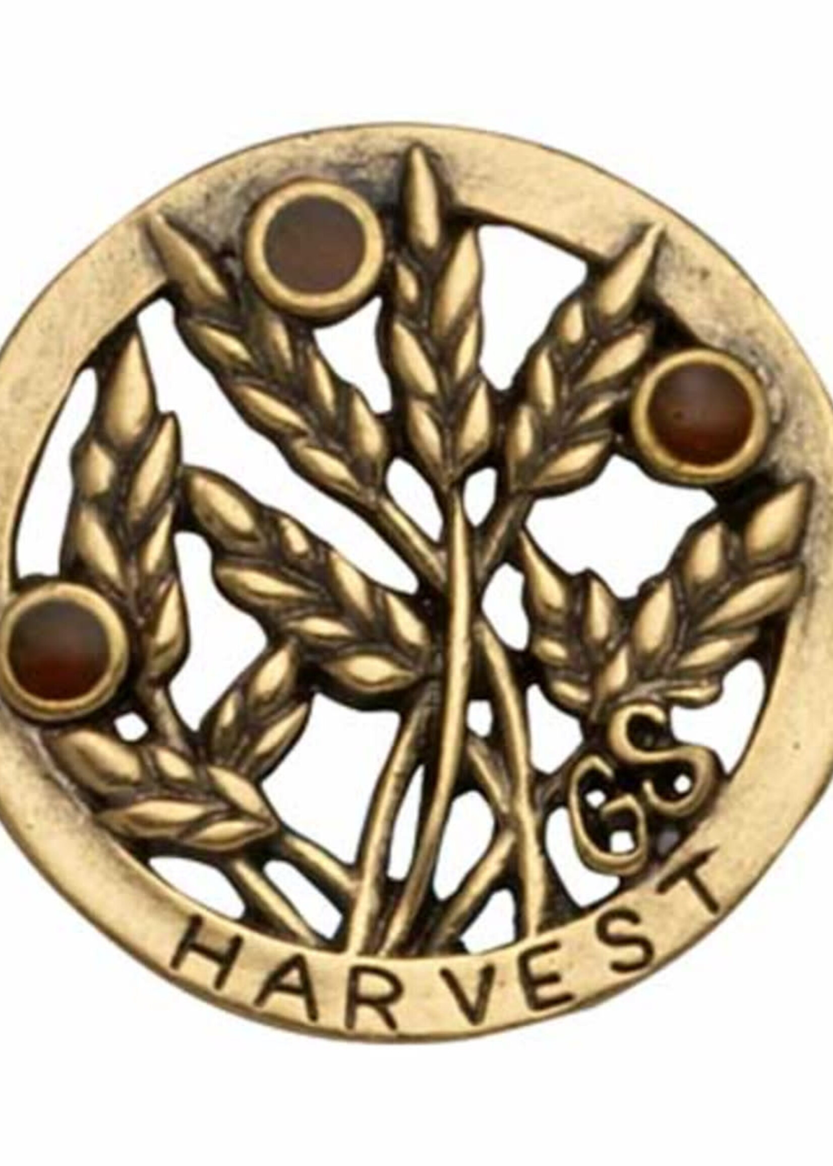 Senior Sow What Journey Pin