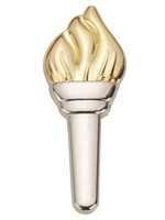Senior Torch Award Pin