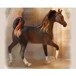 Breyer 88955 Arabian Mare Liver Chestnut COLLECTA