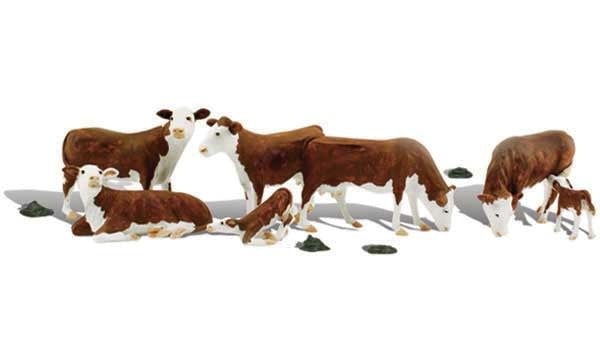 1843 HO Hereford Cows