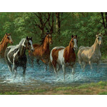 Springbok 3301547 Summer Creek  500 Piece Jigsaw Puzzle