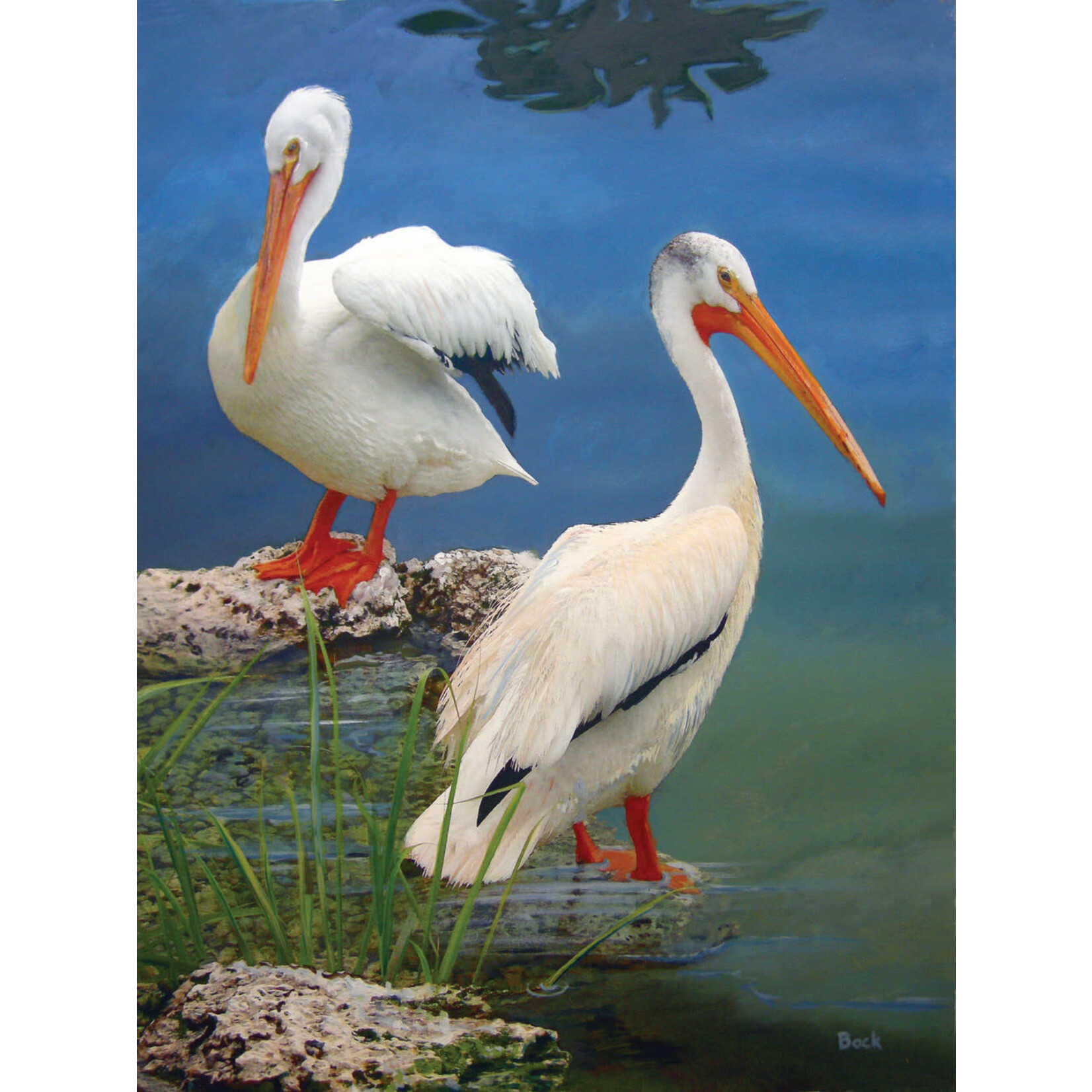 Heritage Puzzle 40508 White Pelicans (550pc)