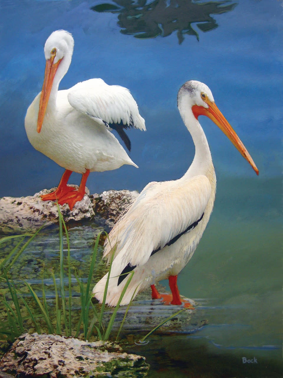 40508 White Pelicans (550pc)