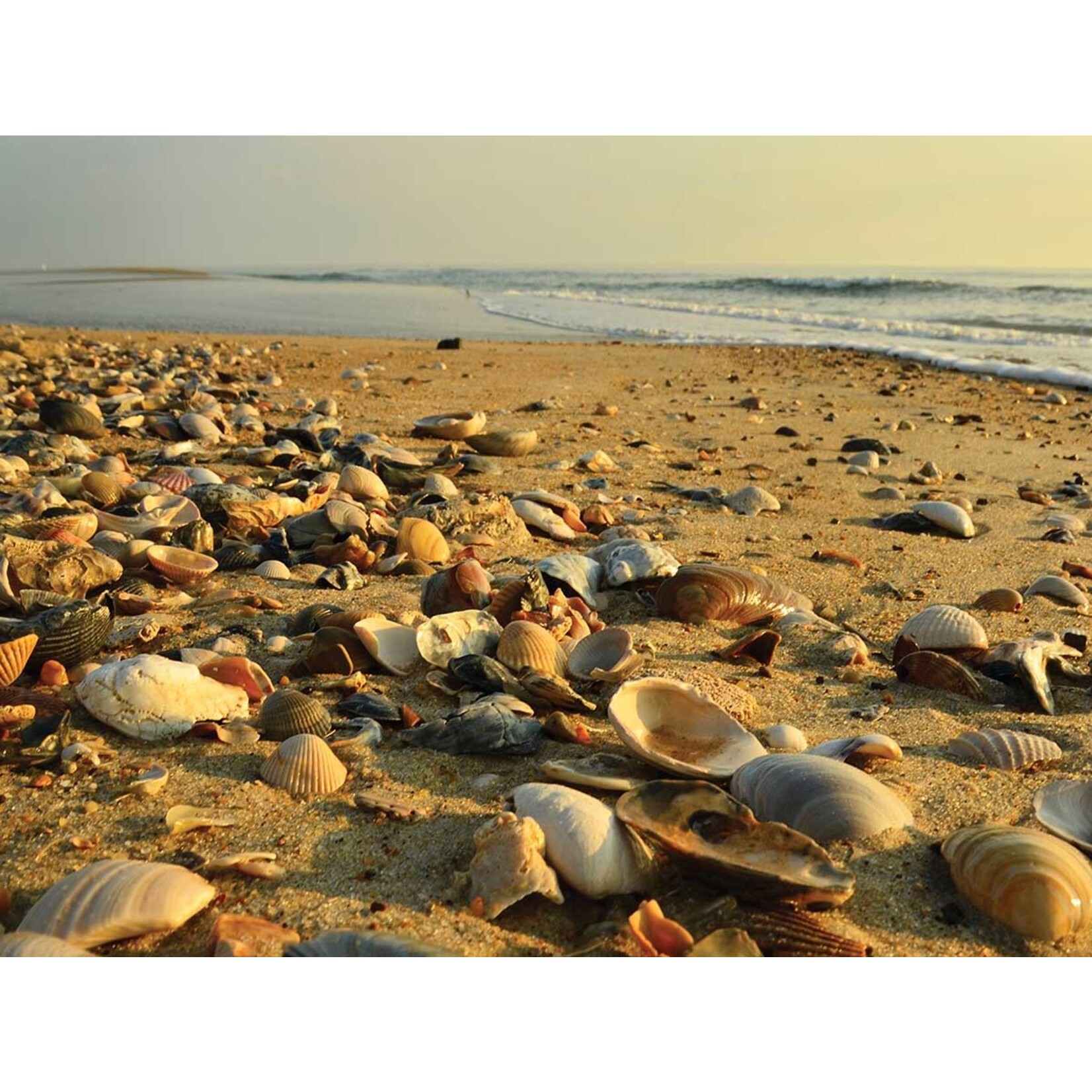 Heritage Puzzle 40576 Low Tide / Doran 550 Piece Puzzle
