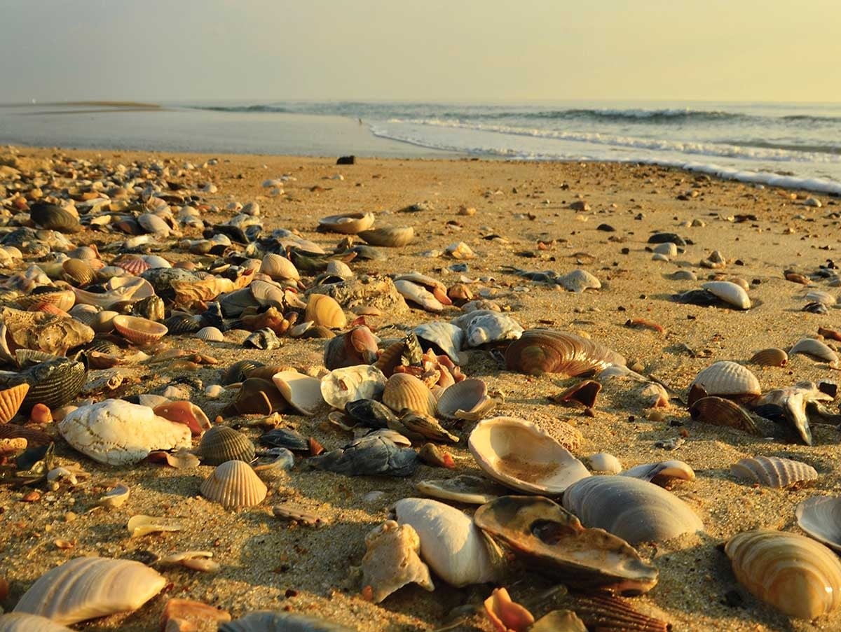 40576 Low Tide / Doran 550 Piece Puzzle