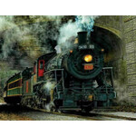 Springbok 4304226 Green Mountain Express 100 Piece Jigsaw Puzzle