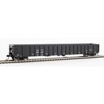 Walthers 9106409 HO 68' Railgon CHTT 287021