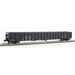 Walthers 9106411 HO 68' Railgon CHTT 287074