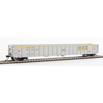 Walthers 9106414 HO 68' Railgon CSXT 491028