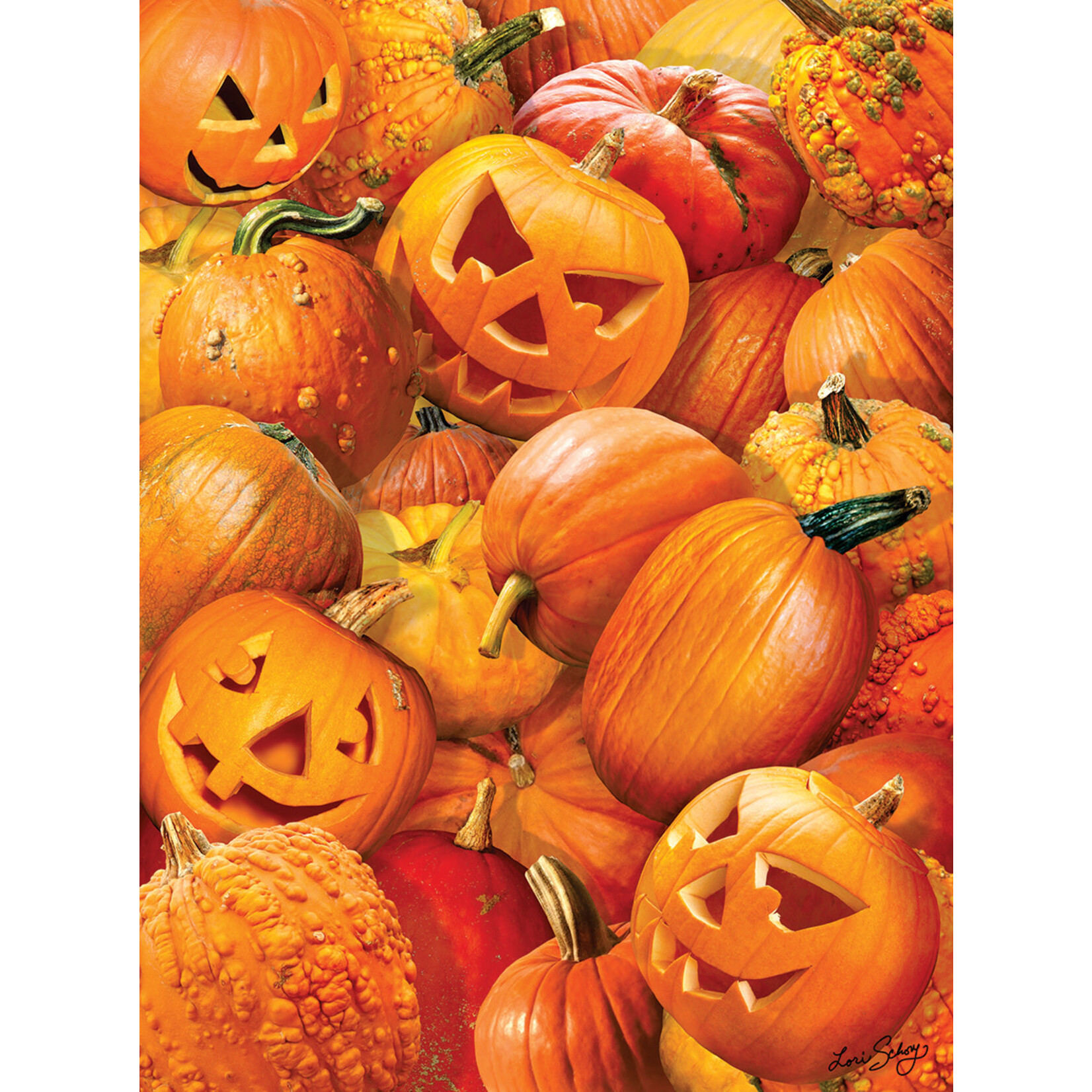 Suns Out 35065 Pumpkin Challenge 1000 Piece Jigsaw Puzzle