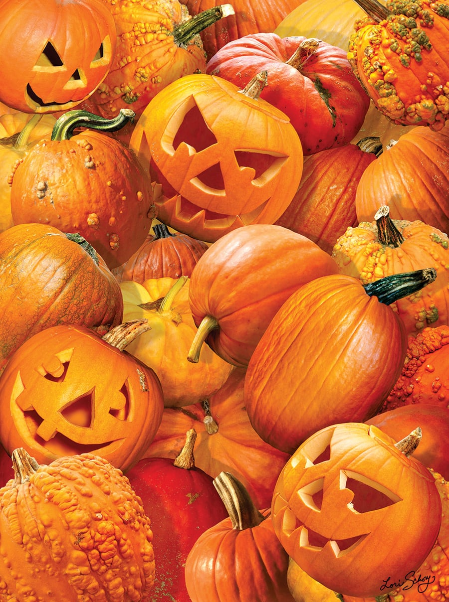 35065 Pumpkin Challenge 1000 Piece Jigsaw Puzzle