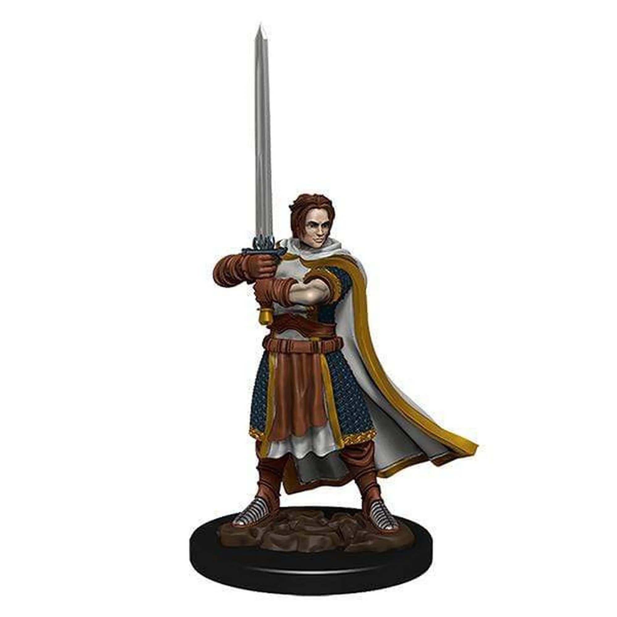 D&amp;D 93023 Dungeons &amp; Dragons Human Fighter Male - Chuck's Trains ...