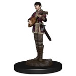 D&D 93028 Dungeons & Dragons Half Elf Bard Female