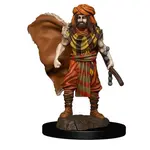 D&D 93031 Dungeons & Dragons Human Druid