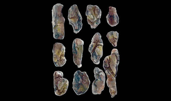 1246 Rock Mold, Creek Bed Rocks