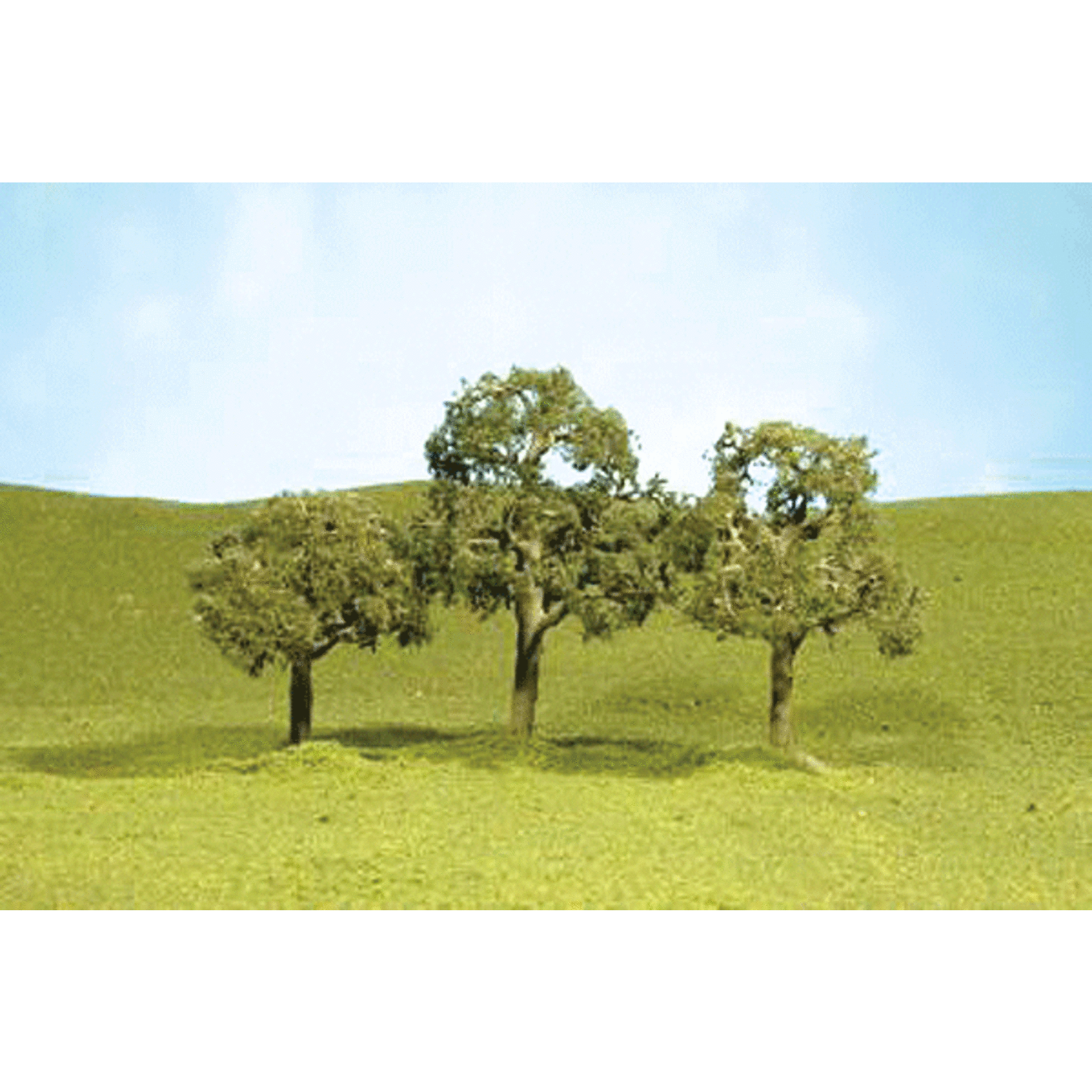 Bachmann 32107 Walnut Trees 2''-2.25''/4pc