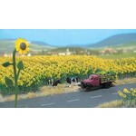 Walthers 9491119 HO Sunflower Fields