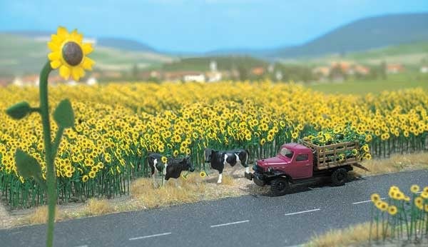 9491119 HO Sunflower Fields
