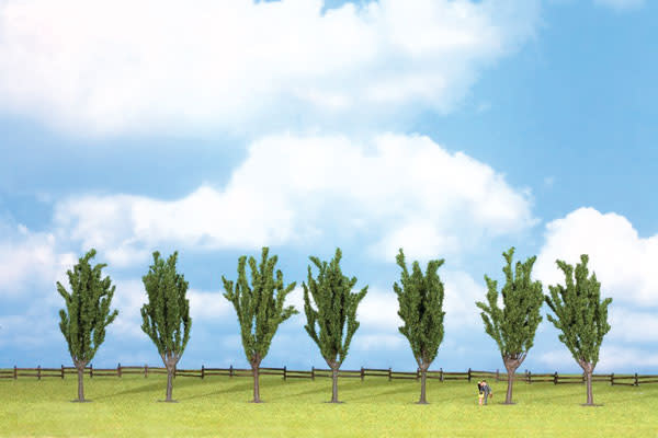 9491165 Poplar Trees pkg(7)