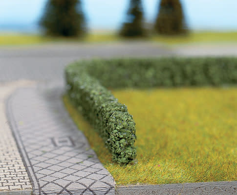 9491301 Hedges Short Dark Green