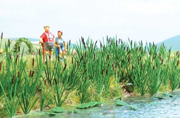 9494179 HO Cattails