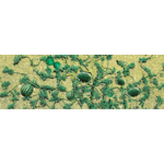 JTT 95575 HO Watermelon Patch