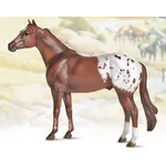 Breyer 1868 Appaloosa 1:9
