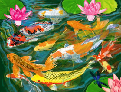 3311166 Koi Pond 1000 Piece Jigsaw Puzzle