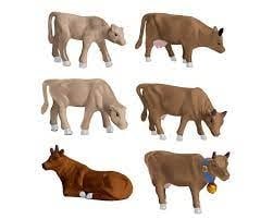 1930290 O Cows & Calves
