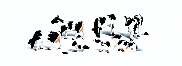 2724 O Holstein Cows