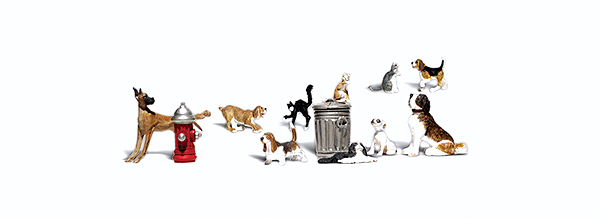 2725 O Dogs & Cats