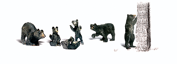 2737 O Black Bears