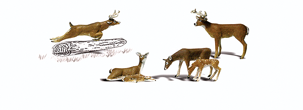 2738 O Deer