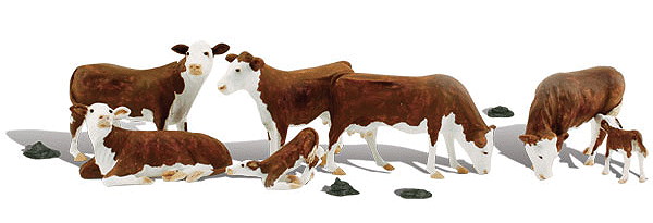 2767 O Hereford Cows