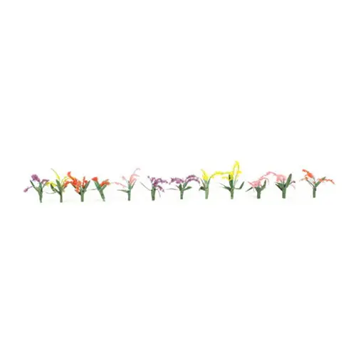 95506 O Flowering Plants