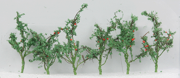 95526 O Tomatoes
