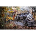 Suns Out 30121 Train's Coming 1000 Piece Jigsaw Puzzle