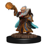 D&D 93038 Icons of the Realms Premium Figures Gnome Wizard Male