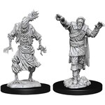 D&D Dungeons & Dragons  Scarecrow & Stone Cursed