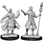 D&D 90229 Dungeons & Dragons Half-Elf Wizard Male