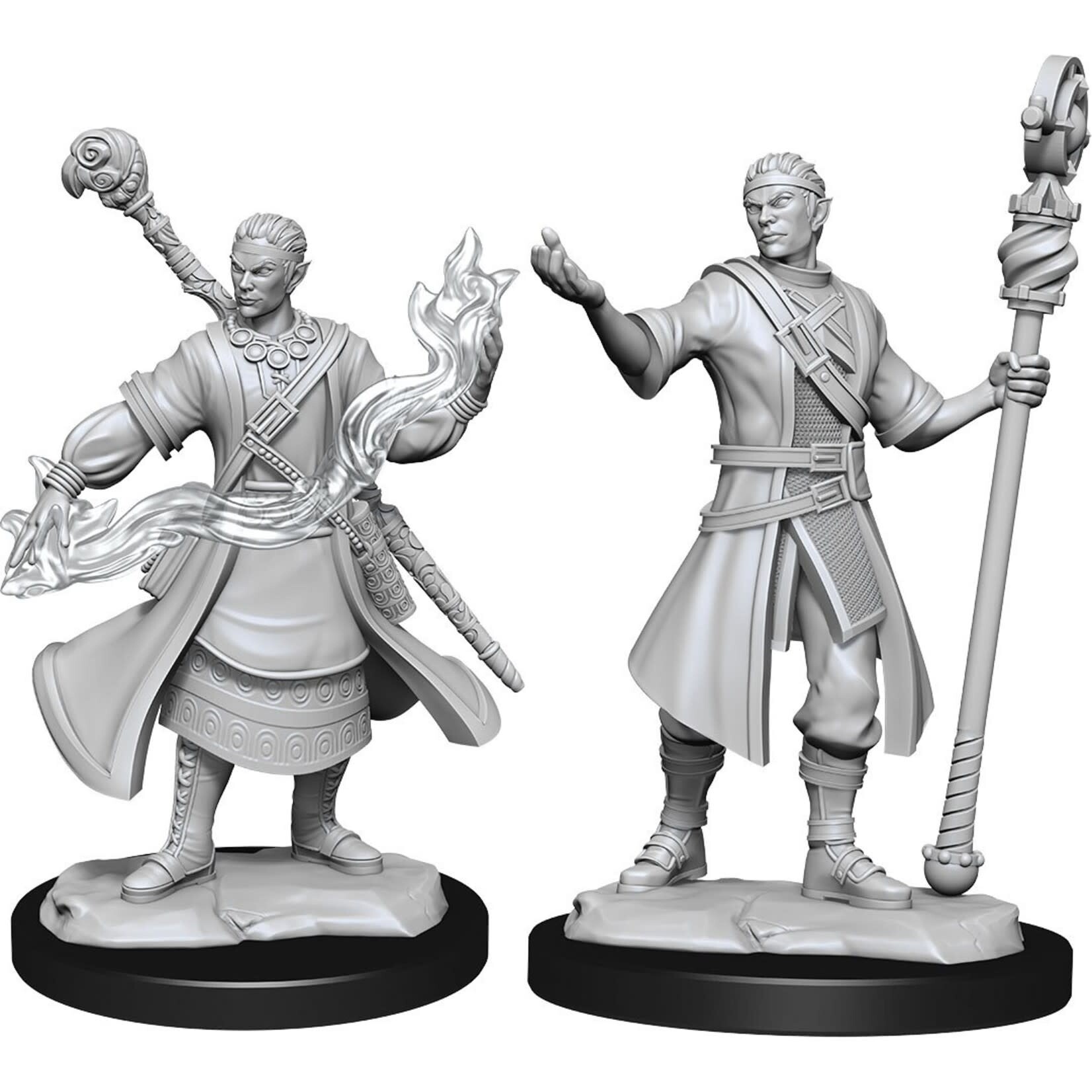 D&D 90229 Dungeons & Dragons Half-Elf Wizard Male