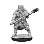 D&D 90224 Dungeons & Dragons Human Barbarian Male