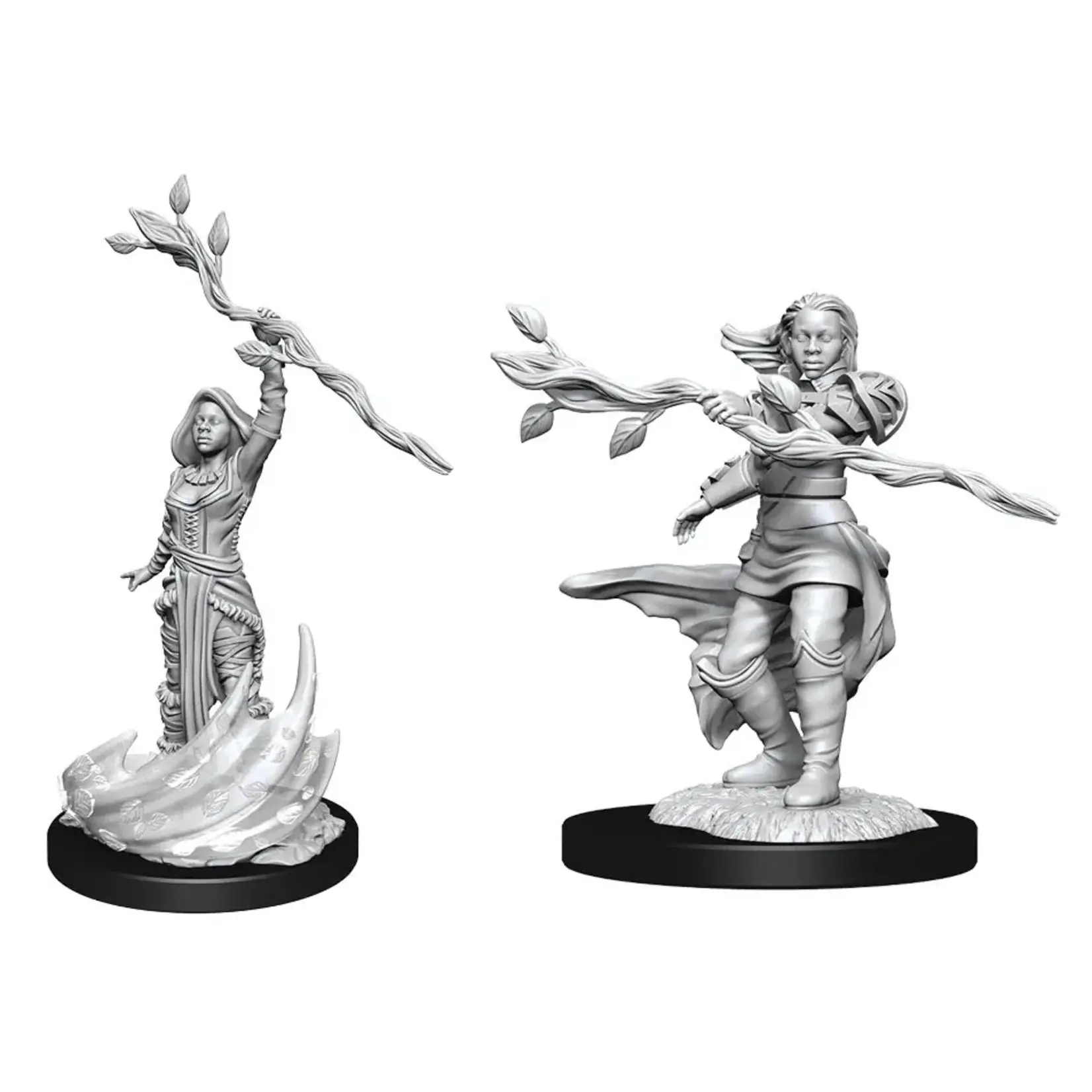 D&D 90223 Dungeons & Dragons Human Druid Female