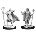 D&D 90221 Dungeons & Dragons Human Druid Male