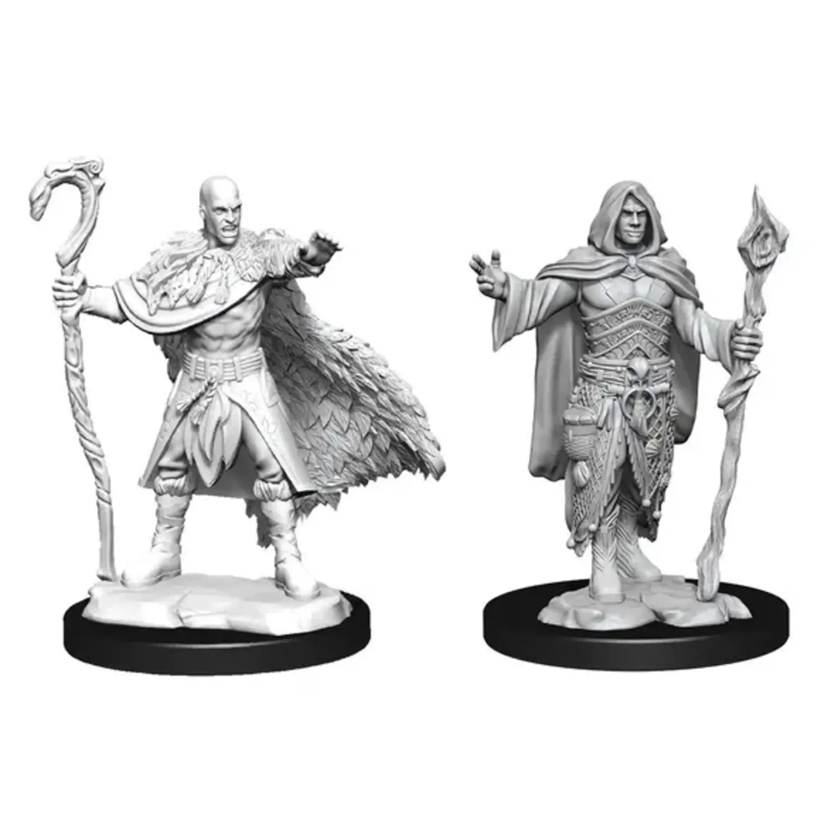 D&D 90221 Dungeons & Dragons Human Druid Male