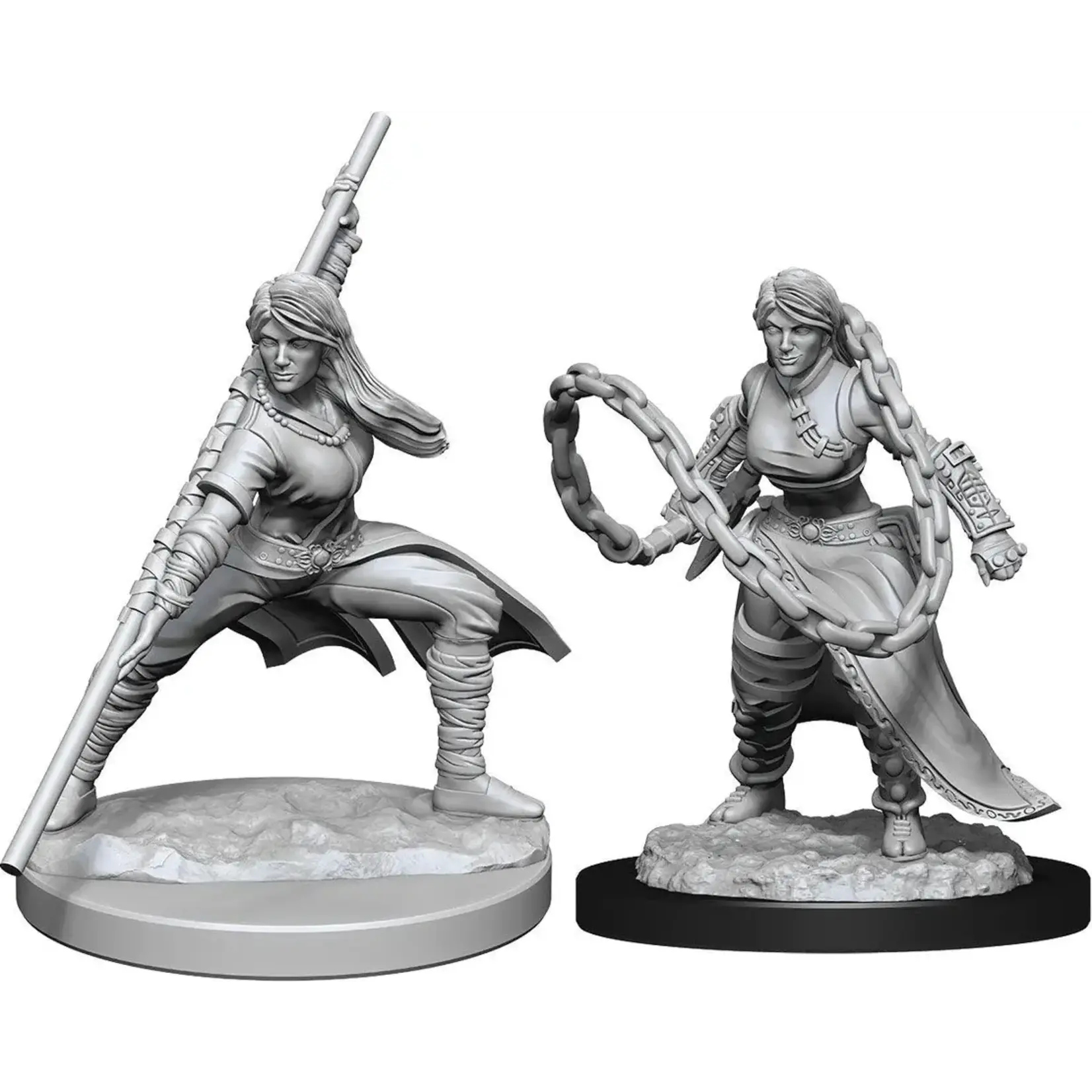 D&D 90225 Dungeons & Dragons Human Monk Female