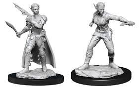 Dungeons & Dragons Shifter Rogue Female