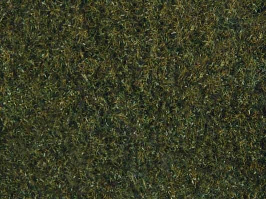 9491225 Meadow grass Dark Green