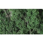 Woodland Scenics 1130 Fine-Leaf Foliage/Dark Green