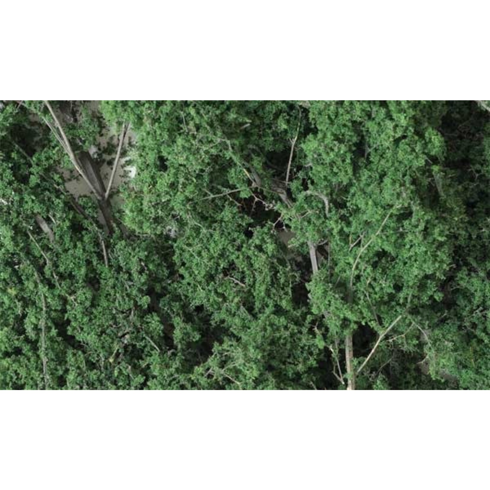 Woodland Scenics 1130 Fine-Leaf Foliage/Dark Green